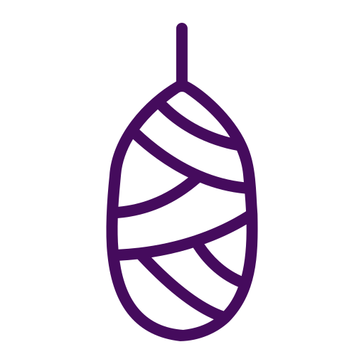 Silk cocoon icon, representing 100% mulberry silk or premium silk quality.